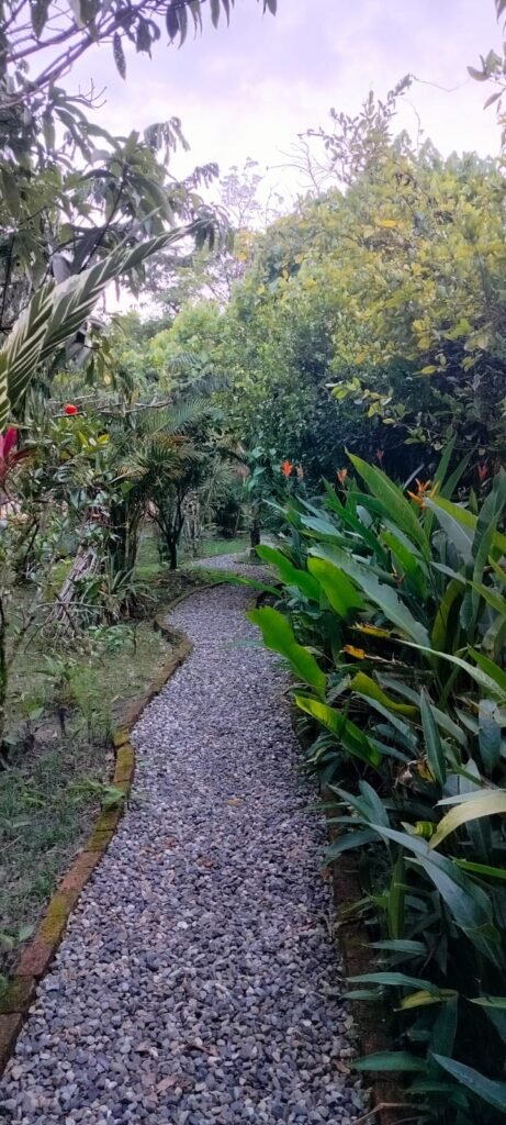 proposito de año nuevo: visitar villaflor spa